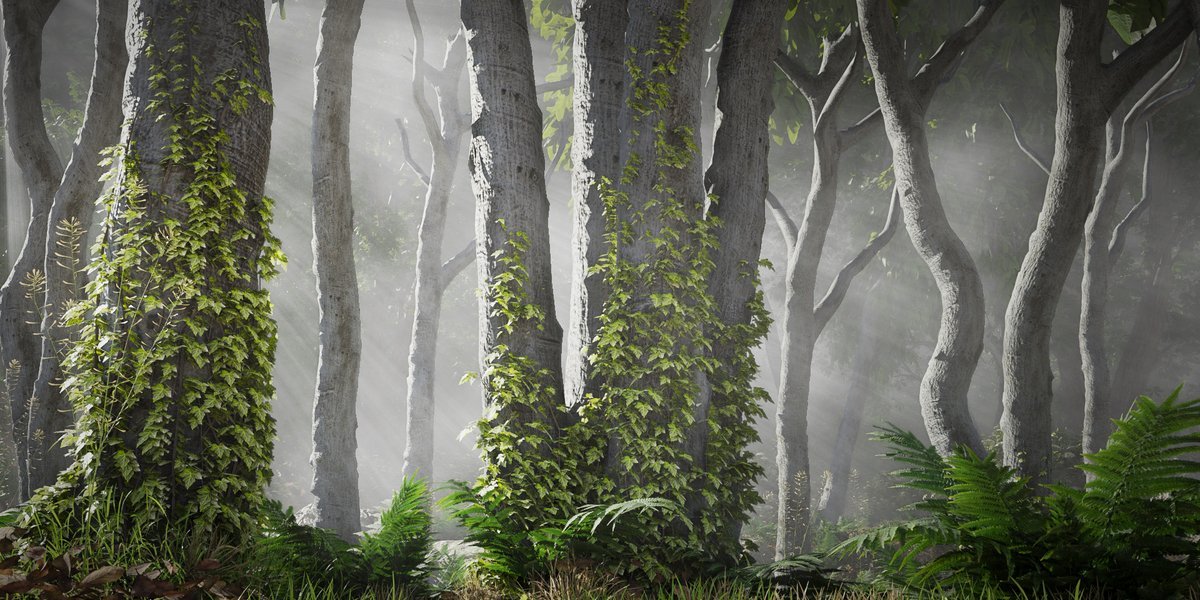 A misty forest of tall trees with ivy and ferns built from Botaniq assets in Blender